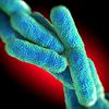 7 New Legionnaires' Cases Reported In The Bronx